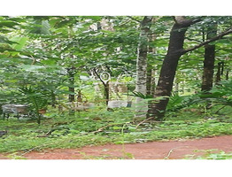 80 Cent Residential land fully or parlty for sale at Paramba in Malom Kasargod