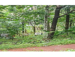 80 Cent Residential land fully or parlty for sale at Paramba in Malom Kasargod