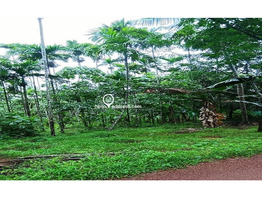 80 Cent Residential land fully or parlty for sale at Paramba in Malom Kasargod