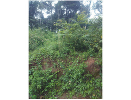 11 cent land for sale at kumily idukki