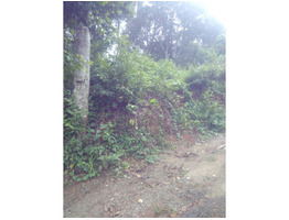 11 cent land for sale at kumily idukki