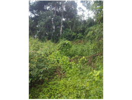 11 cent land for sale at kumily idukki