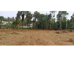 Commercial Land for Sale in Thamarakulam, Kayamkulam, Alleppey