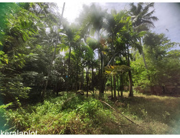 25cent plot for sale, North Paravur
