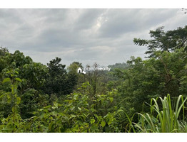 2 acre beautiful property for sale near Banasura sagar dam @ 35 lakh /acre.