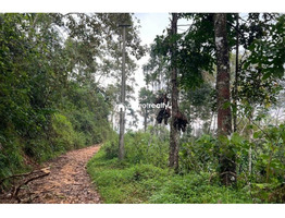 2 acre beautiful property for sale near Banasura sagar dam @ 35 lakh /acre.