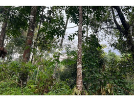 2 acre beautiful property for sale near Banasura sagar dam @ 35 lakh /acre.