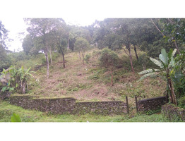 1.81 Acres Land sale at Katcherry kunnu, Peermade, Idukki District.