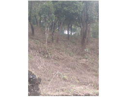 1.81 Acres Land sale at Katcherry kunnu, Peermade, Idukki District.