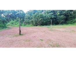 Land in kunhippally, 19000 sqft