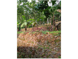 1acre 24 cent old house  for sale at  Padthode, mallapally, pathanathitta.