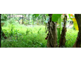 13.5 Cent Land sale at  Thanoor, Malappuram