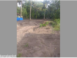 33 Cent Residential Land for Sale in Cherthala