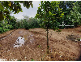 Residential Land for Sale in Kallur, Amballoor, Thrissur