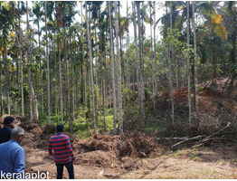 2.95 acres of land sale at  Sulthan battery calicut road , opp Beenachi estate.   Wayanad .