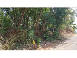 20 CENT LAND SALE AT KOLLAM