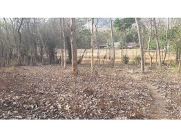 Land for sale (Housing Plot)