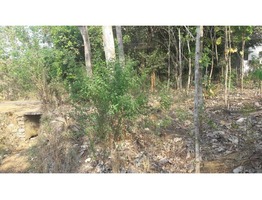 Land for sale (Housing Plot)