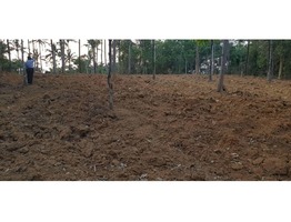 1 acre land and house plots for sale at wayanad, mananthavady