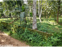 40 cent land sale at chirayirambu