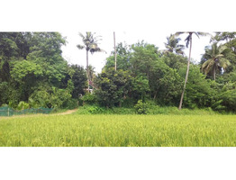 Residential House Villa for Sale in Alathur, Alathur, Palakkad