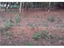 Agricultural Land for Sale in Kollayil, Neyyattinkara, Trivandrum