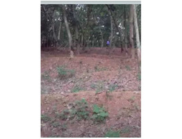 Agricultural Land for Sale in Kollayil, Neyyattinkara, Trivandrum