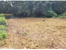 6 Cent Residential Land for Sale in Kuttapuzha, Thiruvalla, Pathanamthitta