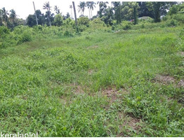 6 Cent Residential Land for Sale in Kuttapuzha, Thiruvalla, Pathanamthitta