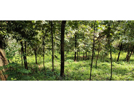 3.5 Acres of land  sale at  Velliamattom PO , Thodupuzha  ,Idukki dt.