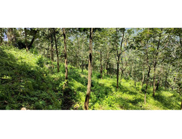 3.5 Acres of land  sale at  Velliamattom PO , Thodupuzha  ,Idukki dt.