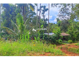 50 cent plot for sale in Kappumchal near Panamaram @ 60000/cent..