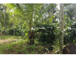 50 cent plot for sale in Kappumchal near Panamaram @ 60000/cent..