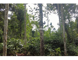 50 cent plot for sale in Kappumchal near Panamaram @ 60000/cent..