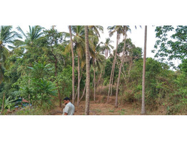 Chelannur 7/6: 1.9 acres plot for sale.