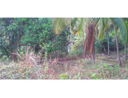 Chelannur 7/6: 1.9 acres plot for sale.