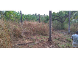 Chelannur 7/6: 1.9 acres plot for sale.