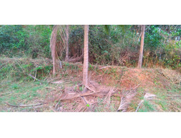 Chelannur 7/6: 1.9 acres plot for sale.