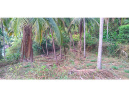 Chelannur 7/6: 1.9 acres plot for sale.