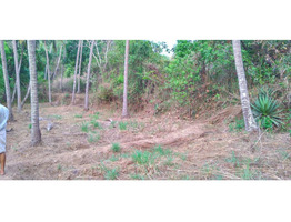 Chelannur 7/6: 1.9 acres plot for sale.