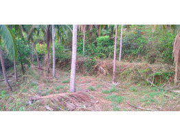 Chelannur 7/6: 1.9 acres plot for sale.