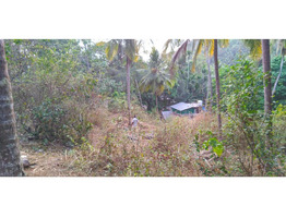 Chelannur 7/6: 1.9 acres plot for sale.