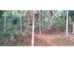 Chelannur 7/6: 1.9 acres plot for sale.