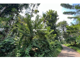 2 acre land for sale near Punchavayal @ 15 lakh/acre...