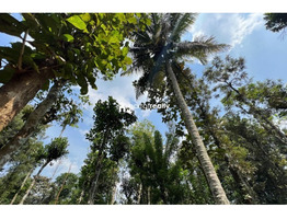 2 acre land for sale near Punchavayal @ 15 lakh/acre...