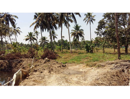 Alappuzha -changanassery road 1.1/4 land for sale (Ramankari waterfront)