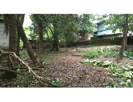 20  cent land  sale at  Nilambur, Chungathara, Malappuram.