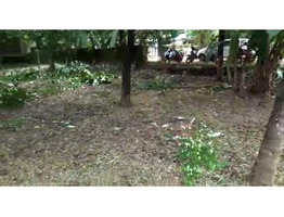 20  cent land  sale at  Nilambur, Chungathara, Malappuram.