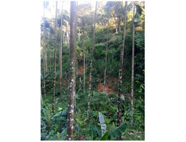Agriculture land 1.30acre