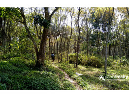 Well maintained 2 acre land for sale near Nadavayal @ 23lakh/acre